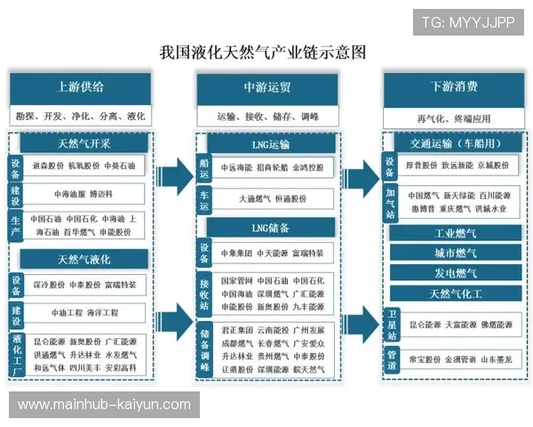 中游集团规模庞大，排名竞争开放激烈